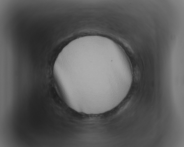X0000100911494200807151127