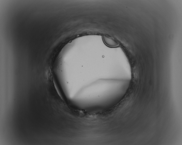 X0000100911495200807151127