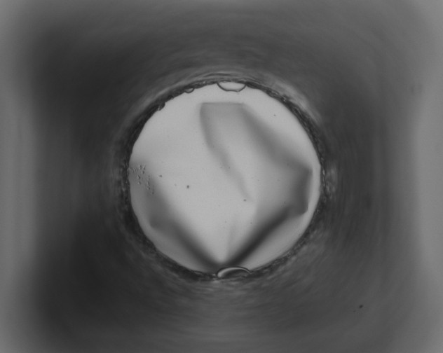 X0000100911496200807151127