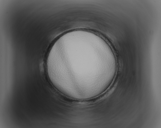 X0000100911497200807151127