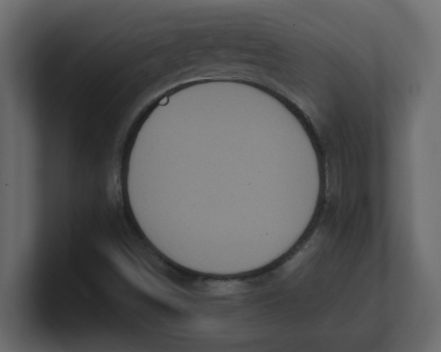 X0000100911498200807151127