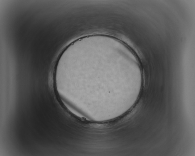 X0000100911500200807151127