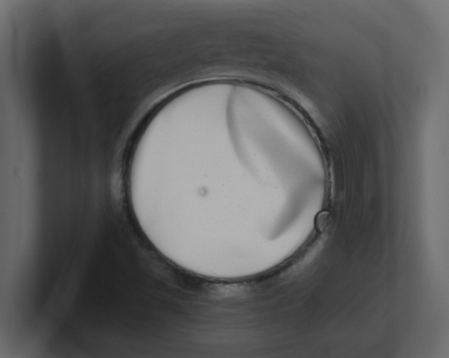 X0000100911501200807151127