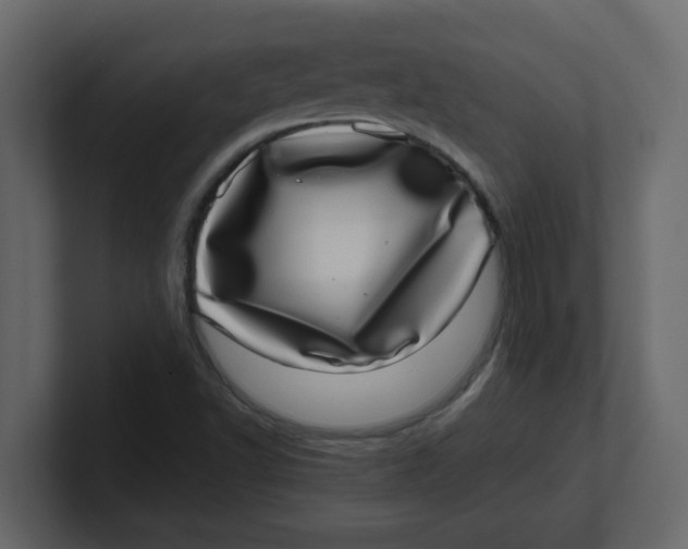X0000100911502200807151127