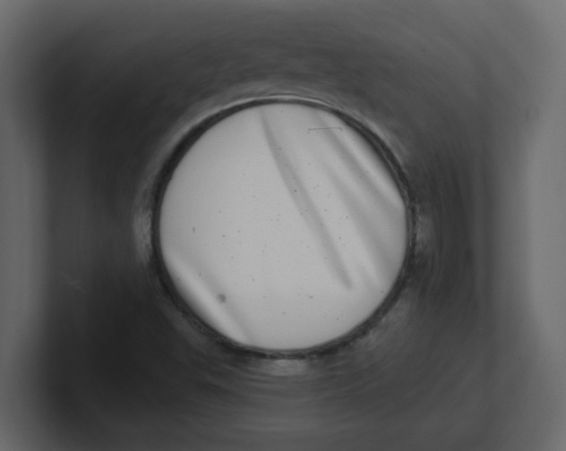 X0000100911503200807151128