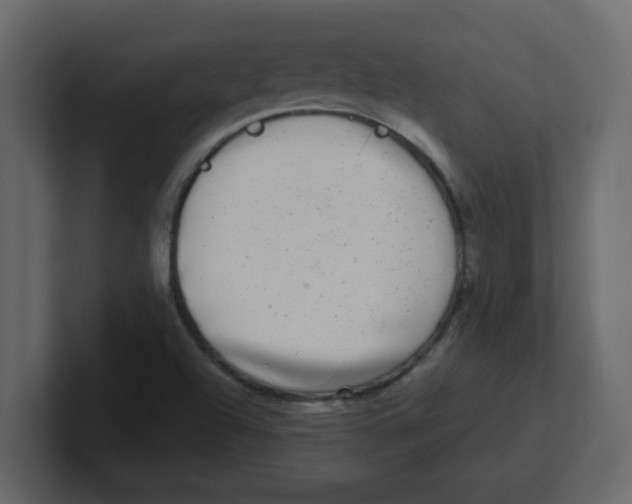 X0000100911504200807151128