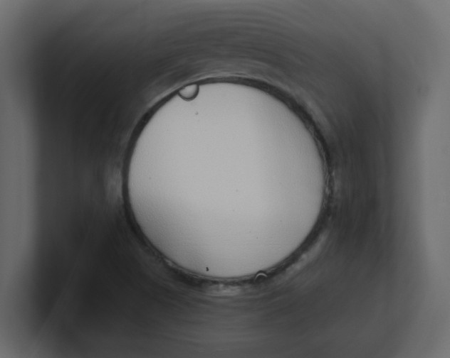 X0000100911505200807151128