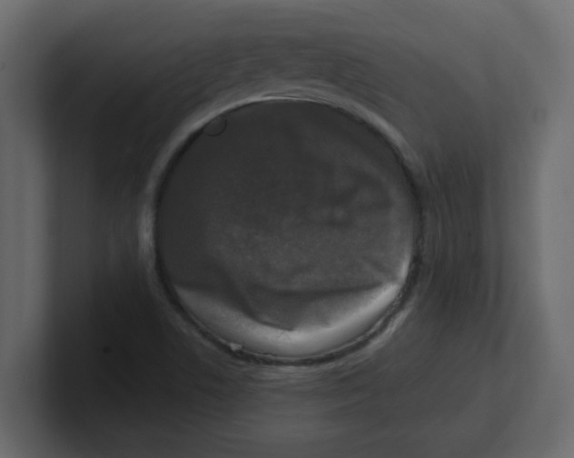 X0000100911506200807151128