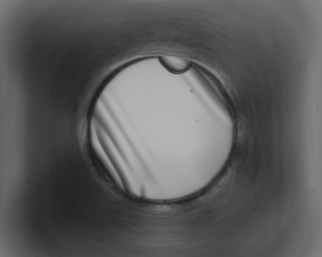 X0000100911507200807151128