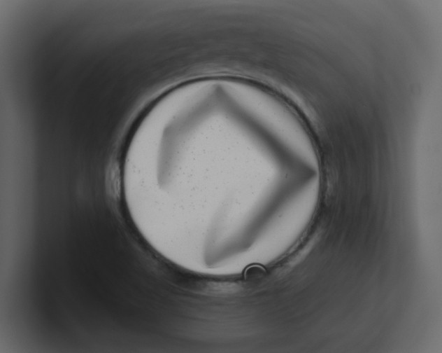 X0000100911509200807151128