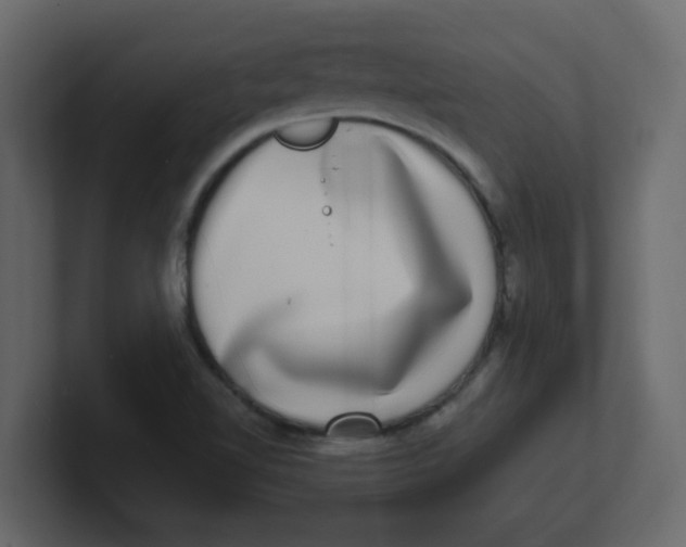 X0000100911510200807151128