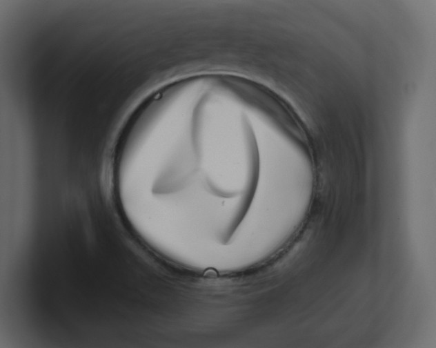 X0000100911511200807151128