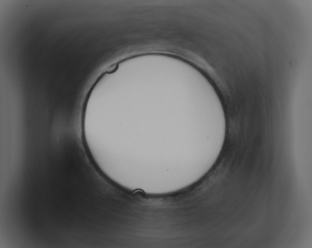 X0000100911512200807151128