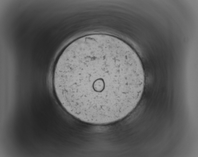 X0000100911514200807151128