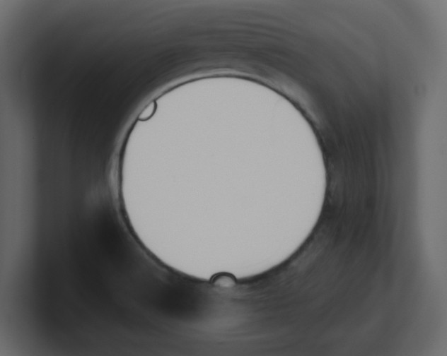 X0000100911516200807151128
