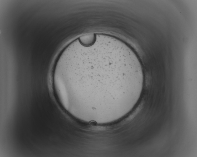 X0000100911517200807151128