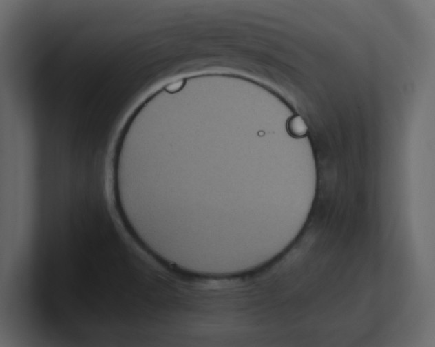 X0000100911518200807151128