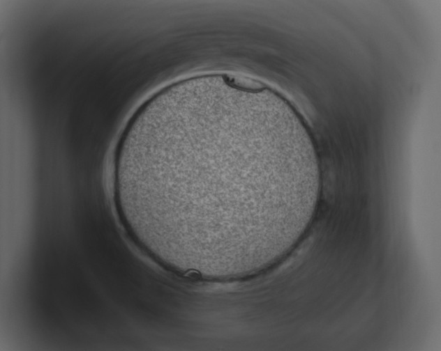 X0000100911519200807151128