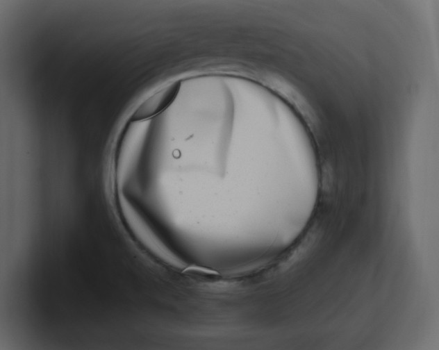 X0000100911520200807151128