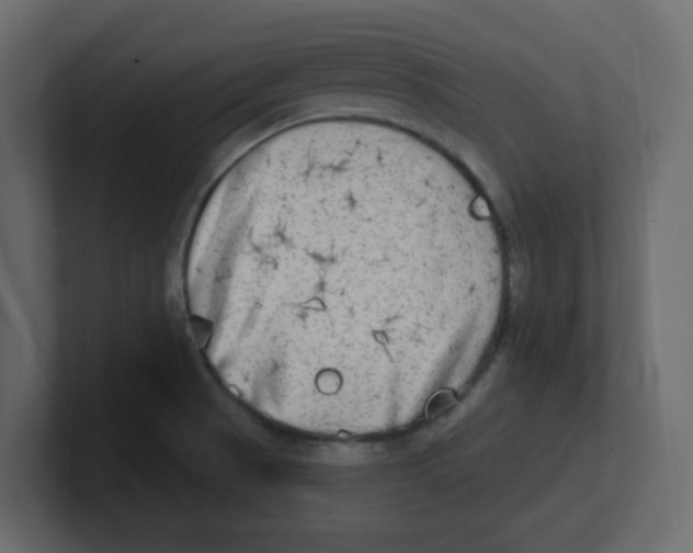 X0000100911521200807151128