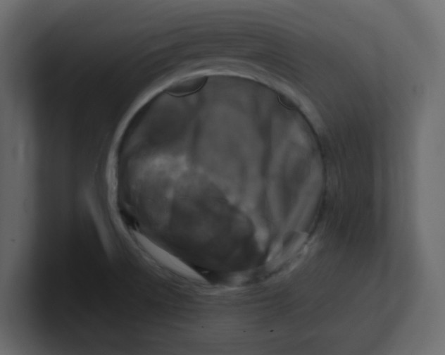 X0000100911522200807151128