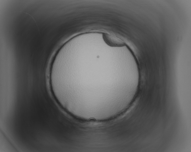 X0000100911525200807151128