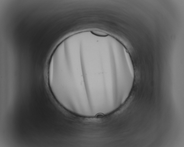 X0000100911526200807151128