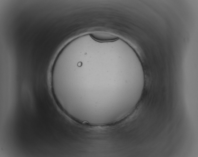 X0000100911527200807151128