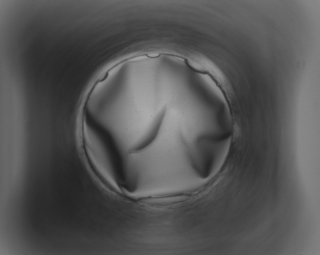 X0000100911528200807151128