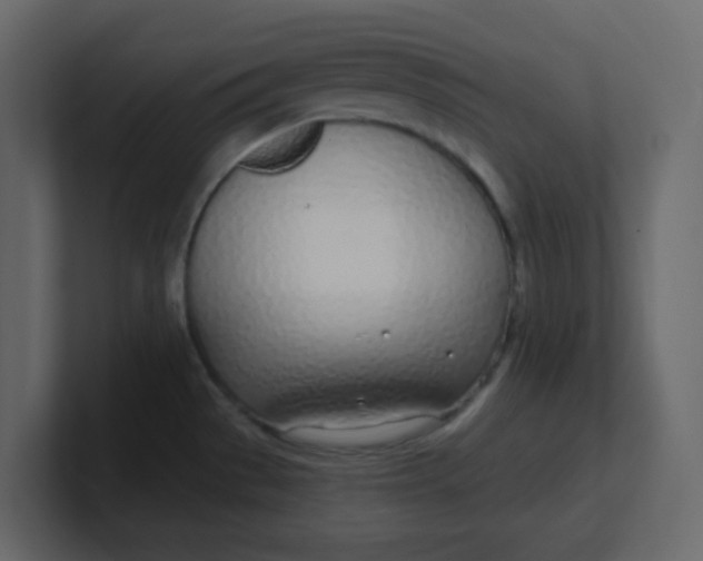 X0000100911529200807151128