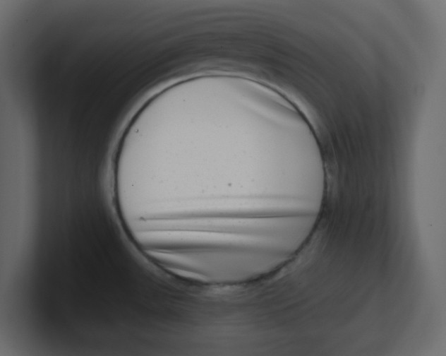 X0000100911531200807151128