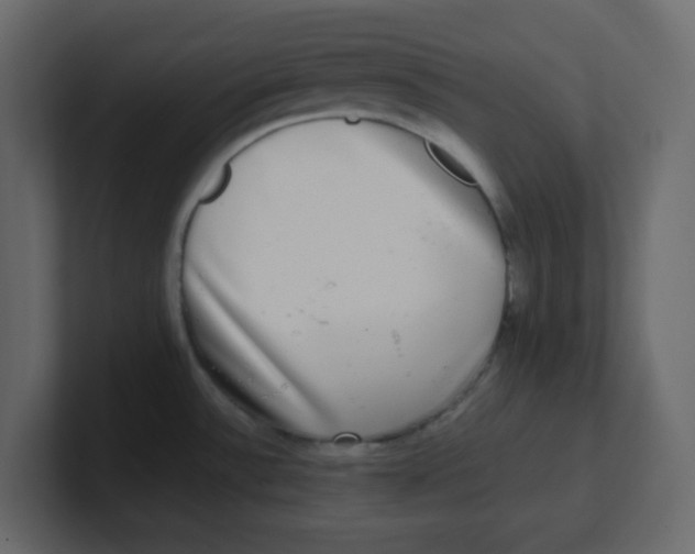 X0000100911532200807151128