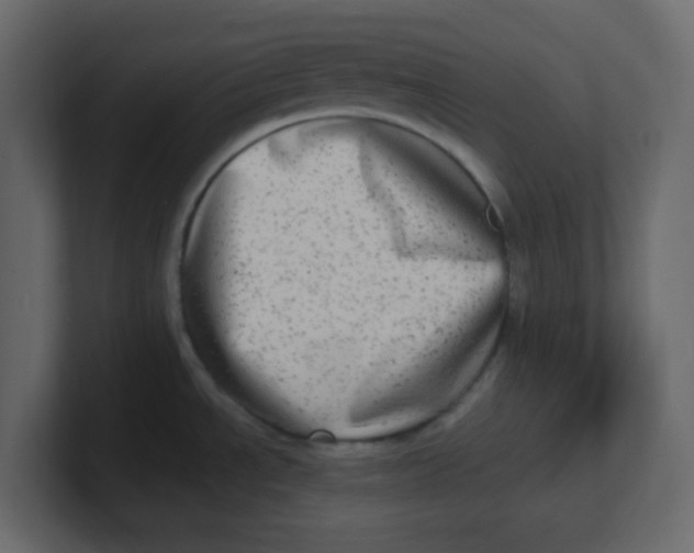 X0000100911534200807151128