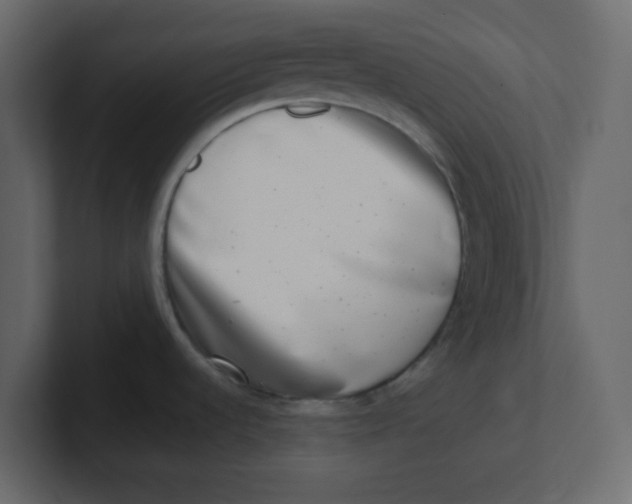 X0000100911536200807151128
