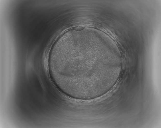 X0000100910002200807221000