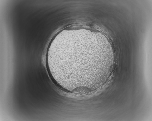 X0000100910003200807221000
