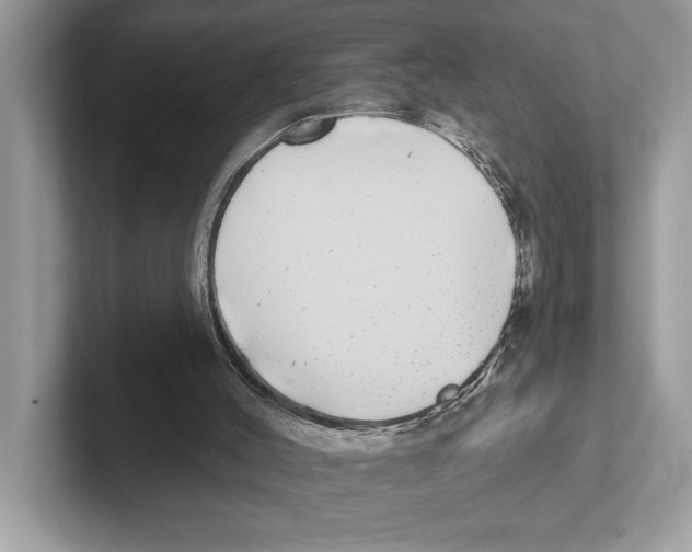 X0000100910004200807221000