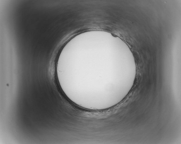X0000100910005200807221000