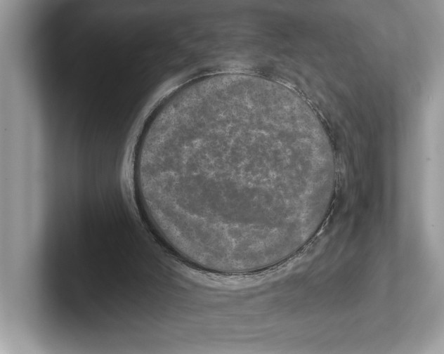 X0000100910006200807221000