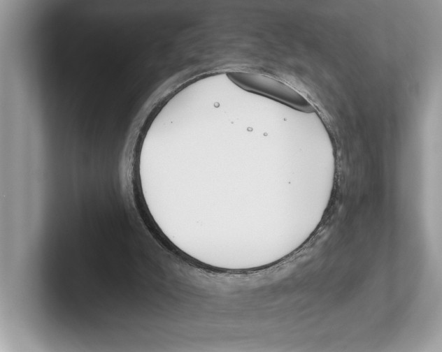 X0000100910007200807221000