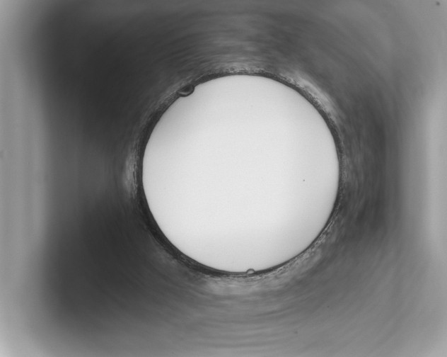 X0000100910009200807221000