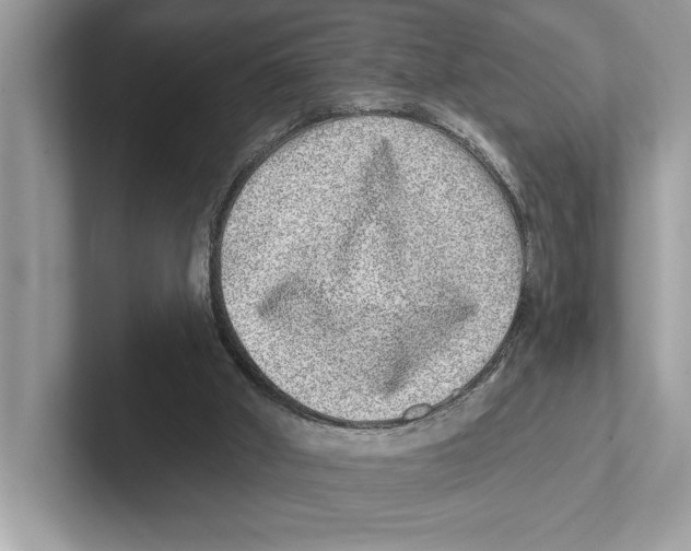 X0000100910010200807221000