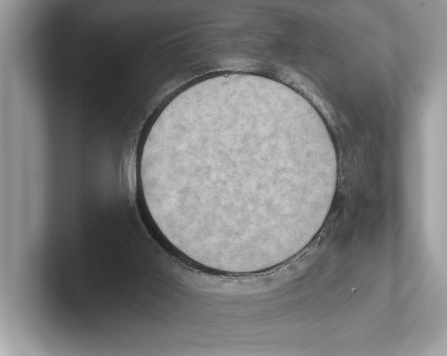 X0000100910011200807221000