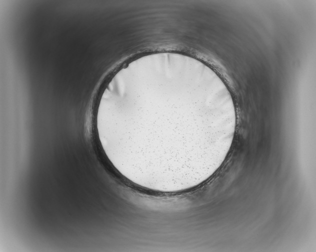 X0000100910012200807221000
