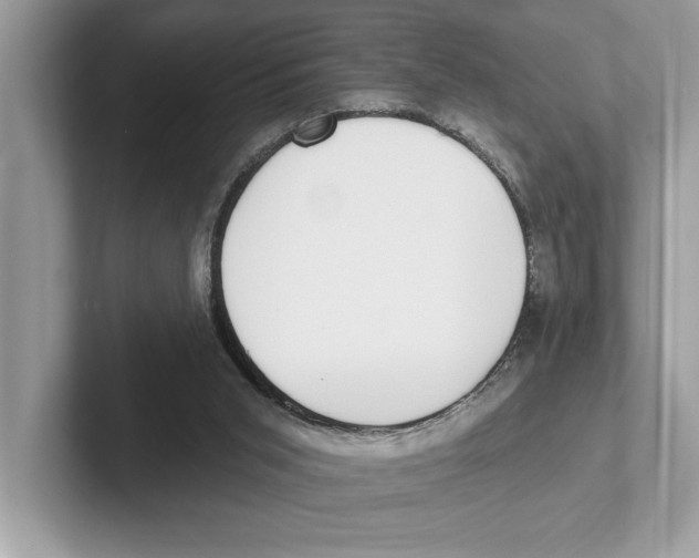 X0000100910015200807221000
