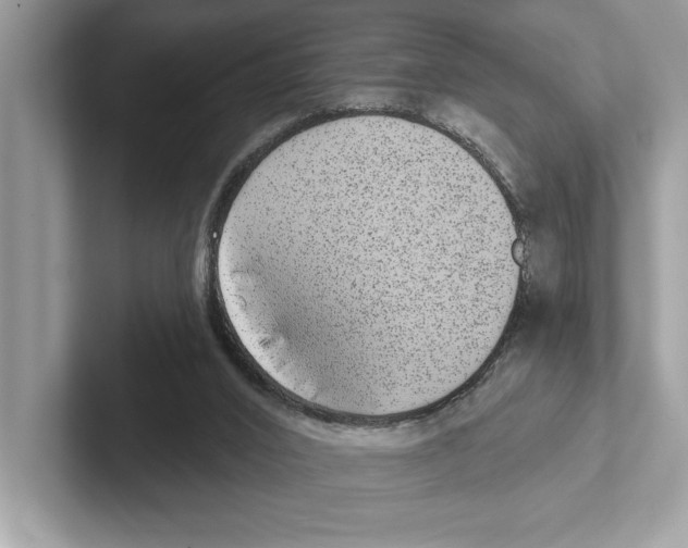 X0000100910016200807221000