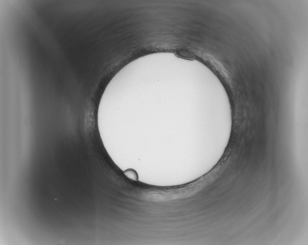 X0000100910017200807221000