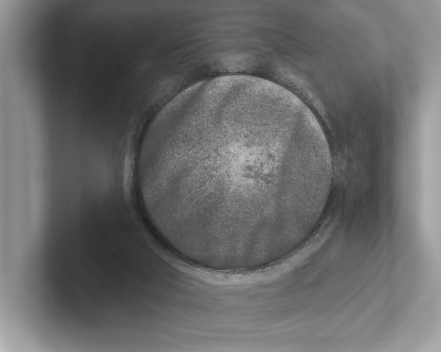 X0000100910018200807221000