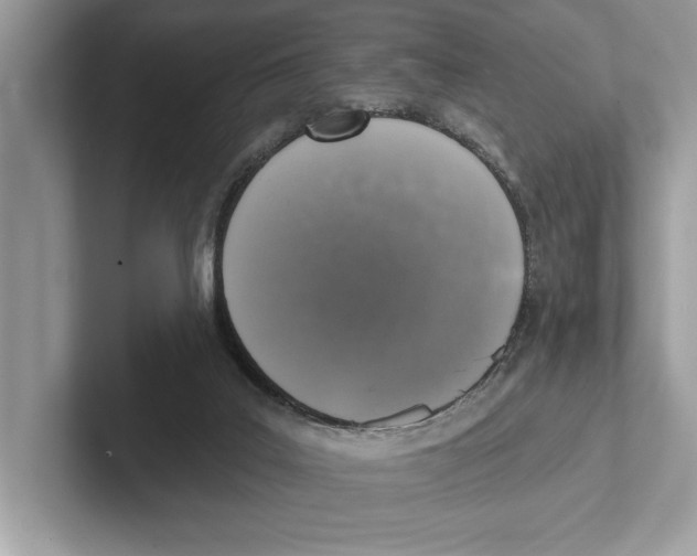 X0000100910019200807221000