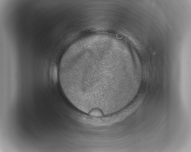 X0000100910022200807221000